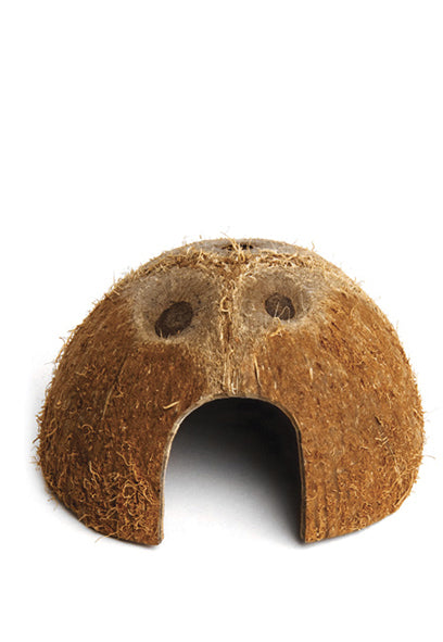 Coconut Den
