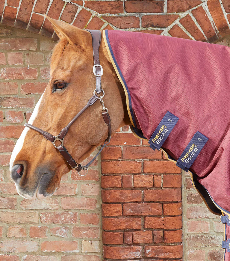 Premier Equine Akoni Stratus 0g Turnout Rug with Neck Cover