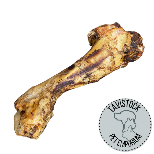 Roasted Jurassic Beef Bone